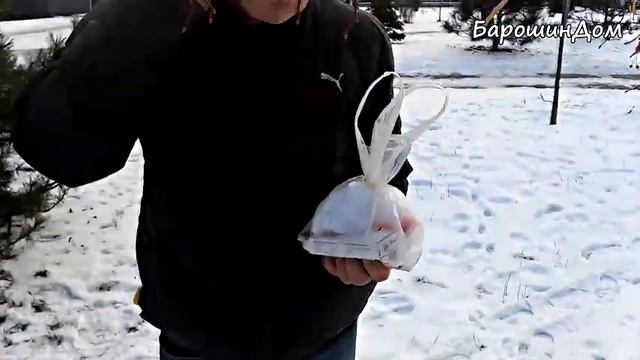 Отчетное видео за период с 23.01.2022 по 31.01.2022 смотреть онлайн