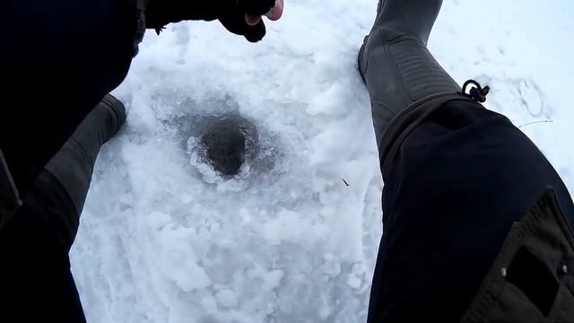 Зимняя рыбалка 2017- Нереальная раздача! Лещ,густера,окунь,гибрид. Отчёт с 4.03.2017) смотреть онлайн