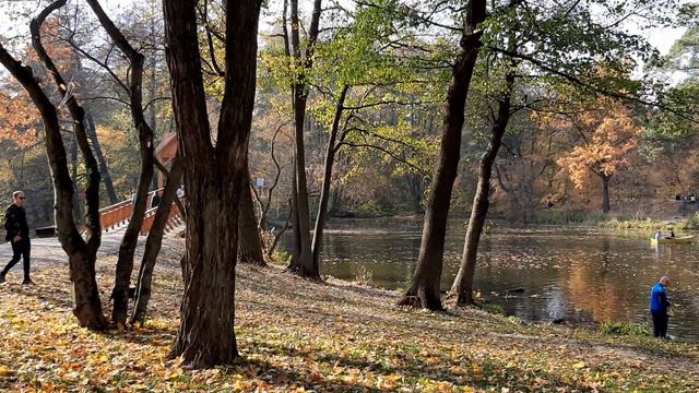 2019.10.19 Пуща-Водица, парк и озеро Горащиха смотреть онлайн
