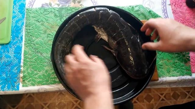 ЧУДО-ЮДО РЫБА СОМ ЗАПЕЧЕННЫЙ В ДУХОВКЕ/SUPER CATFISH BAKED IN THE OVEN смотреть онлайн