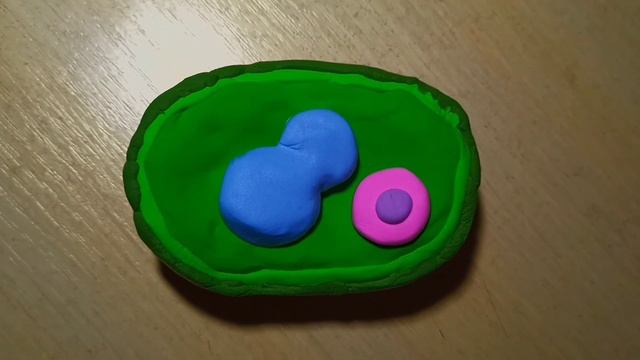 БУДОВА РОСЛИННОЇ КЛІТИНИ Субботіна Софія 9Б 2022р смотреть онлайн