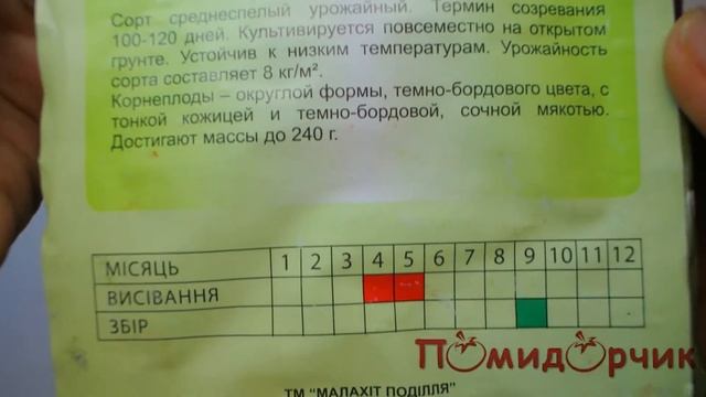 Семена Свеклы Столовой Багровый Шар - Помидорчик смотреть онлайн