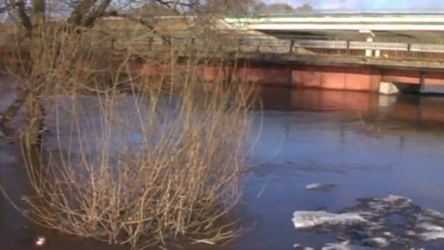 река Птичь,паводок,Самохваловичи смотреть онлайн