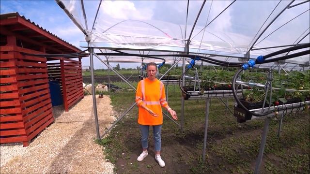 Ответы. Малообъемка, теплица для клубники? по фински. смотреть онлайн