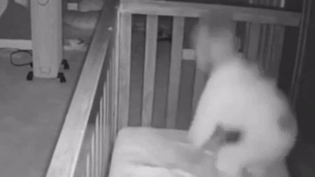 Наша Дача (1)