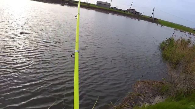 ХИТРЫЙ САЗАН !!! смотреть онлайн