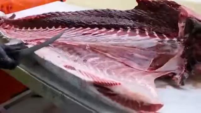 Как разделяют голубого тунца.街頭食品. Разделка тунца. смотреть онлайн