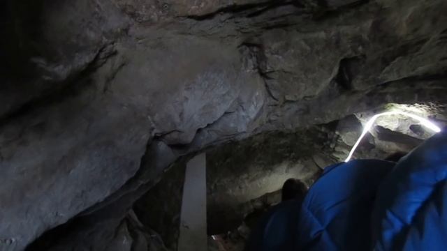 НОЕВ КОВЧЕГ смотреть онлайн