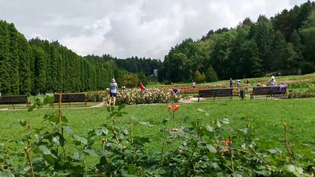 Кисловодск, парк, ДАЛИНА РОЗ смотреть онлайн