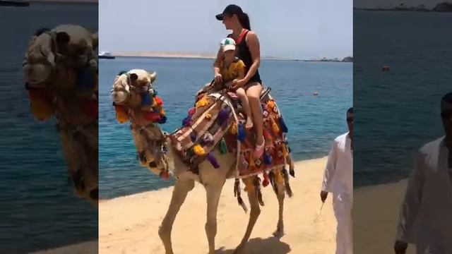 Еgypt 2018. Hurghada. King TUT. Sphinx Aqua Park Beach Resort смотреть онлайн