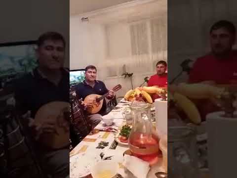 Далгат Омаров (заслуженный артист РД )- песня на аварском языке смотреть онлайн