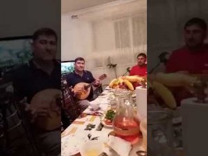 Далгат Омаров (заслуженный артист РД )- песня на аварском языке