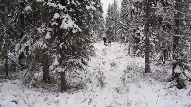 Накатываем путик смотреть онлайн