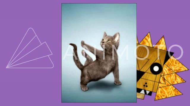 Тоже Йога смотреть онлайн