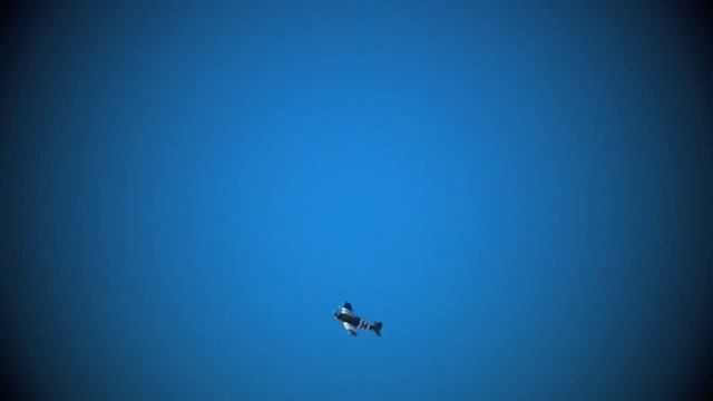 Grumman F6-F Hellcat смотреть онлайн