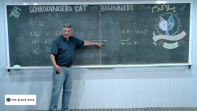 "For Beginners" Series (Lecture 3): Schrodinger’s Cat for Beginners смотреть онлайн
