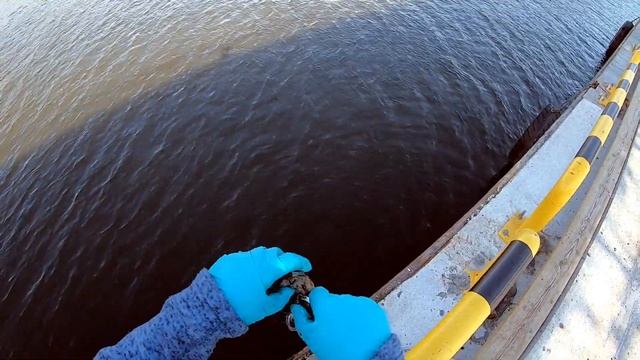 Последнее видео с Поисковым магнитом в этом контракте | Швеция | Норрчепинг | Часть 2 смотреть онлайн