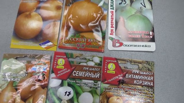 Семейка,так называют лук шалот. Краткий обзор. смотреть онлайн