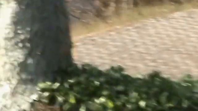 Сочи. "Дендрарий". Верхний парк. (01. 01. 2016 г.) смотреть онлайн