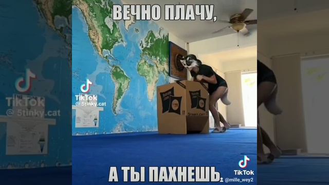 квд смотреть онлайн