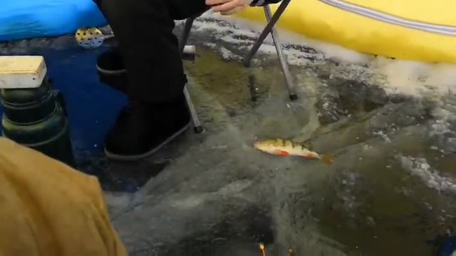 Зимняя рыбалка в палатке. смотреть онлайн