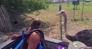 Смешные приколы Февраль 2023 #70