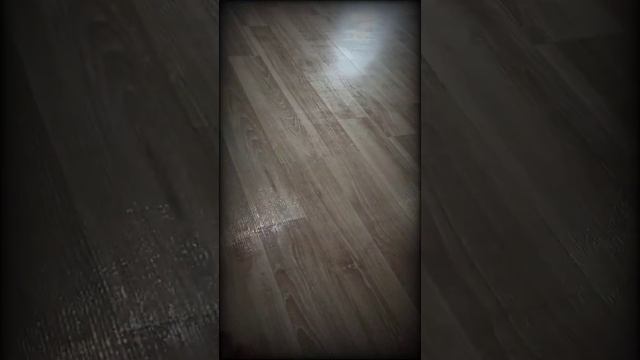 Робот-пылесос моет пол (neatsvor X-500)