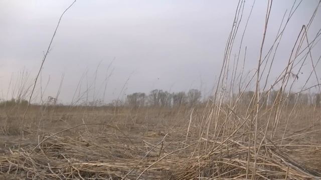 НАКОПАЛА СЕРЕБРА ДАЖЕ ДВИГАТЕЛЬ НА АВТО ЗАКИПЕЛ. Удачный сезон 2023 в поиске кладов смотреть онлайн