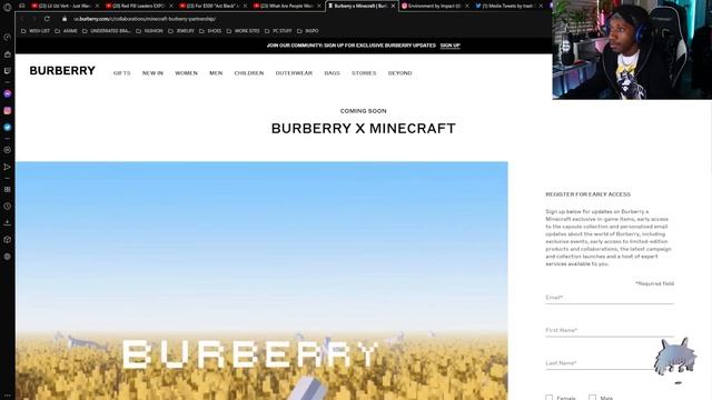 BURBERRY x MINECRAFT Collaboration? | Burberry Minecraft Reaction/Thoughts смотреть онлайн