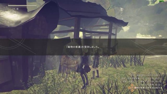 【Steam版】NieR：Automata 【2回目-2B編】-Part07-ライブ垂れ流し/英音声・日字幕 смотреть онлайн