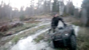 каракат и квадрик