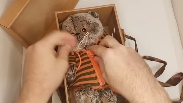 Кот Басик в штанах и полосатой кофте смотреть онлайн