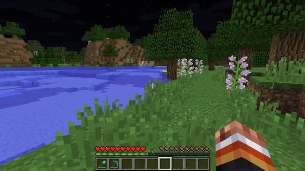 X Ray для Майнкрафт