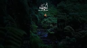 Ирс Дохьуш 3000 раз Астагфируллах 2022 Астаг1фируллах1 Мохьмад Ирс 3000Е