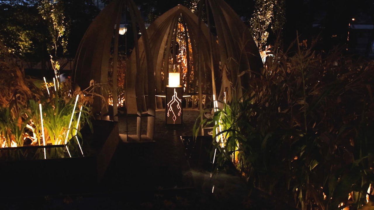 Светильники Arlight на фестивале «Сады и люди». Специальный приз за освещение смотреть онлайн