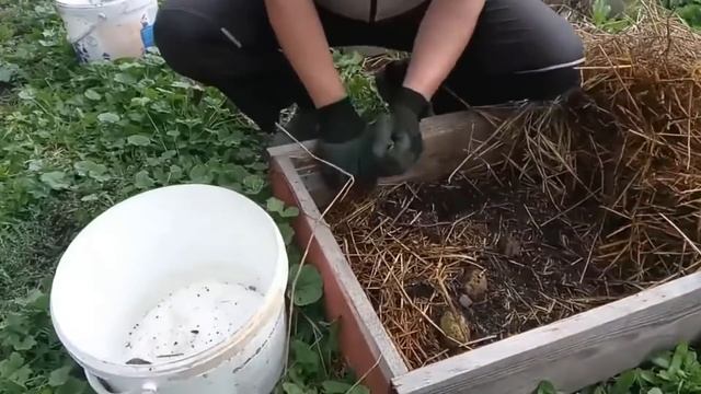 Ленивый Огород семьи Курагиных, картошка в сене 2019 часть 2 смотреть онлайн