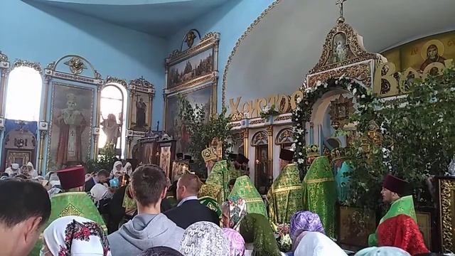 Александрия. Блаженнейший Онуфрий митрополит Киевский и всея Украины. смотреть онлайн