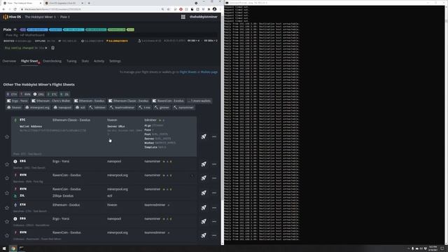 Troubleshooting Guide For A Crashing GPU Mining Rig Running HIVEOS смотреть онлайн