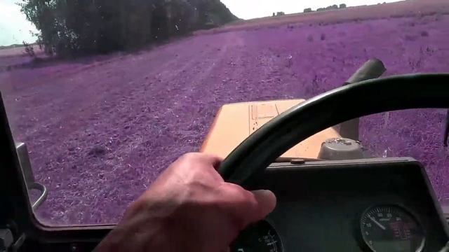 Второй укос эспарцета смотреть онлайн