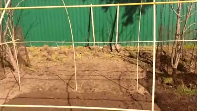 Как сделать бюджетную теплицу своими руками из стеклопластиковой арматуры смотреть онлайн