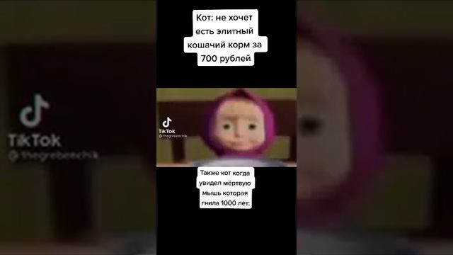 Когда кот не хочет есть элитный кошачий корм за 700 рублей.#shorts смотреть онлайн
