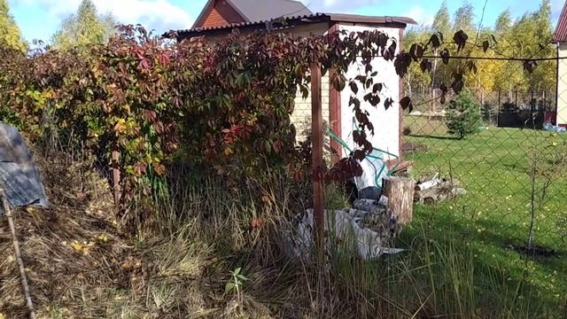 Самый лучший забор? Планы на новый участок смотреть онлайн