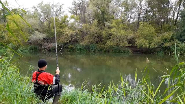 РЫБАЛКА НА ПОПЛАВОК В ХОЛОДНЫЙ СЕНТЯБРЬ 2022! смотреть онлайн