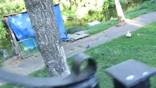 Пример съемки видео 720p 30fps Canon PowerShot SX280 HS смотреть онлайн