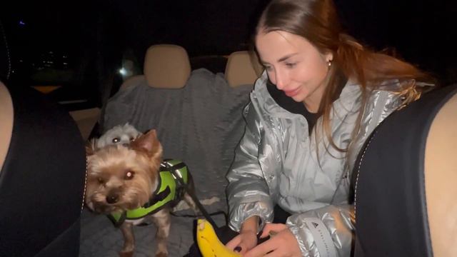 БЕЖЕНЦЫ В БОЛГАРИИ. ЧАСТЬ 2 смотреть онлайн