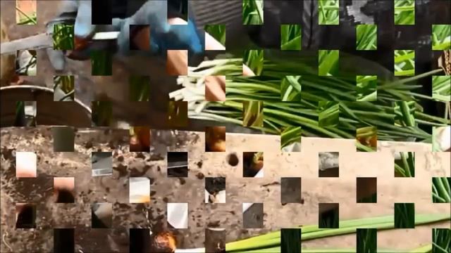 Выращивание зеленого лука как бизнес смотреть онлайн