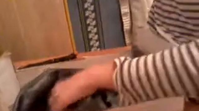 Как сделать кровать для Барби и Кена смотреть онлайн