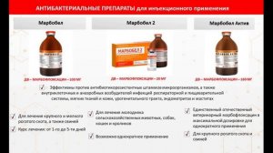 Марбобел 2, Марбобел, Марбобел Актив - инъекционные антибактериальные ветеринарные препараты