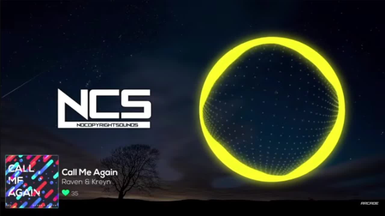 Musical Polar Bear Live