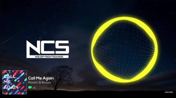 Musical Polar Bear Live